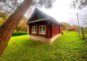 Дом 50м&sup2;, 1-этажный, участок 19 сот.  