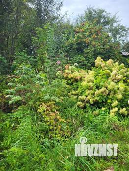 Дом 29м², 1-этажный, участок 5 сот.  