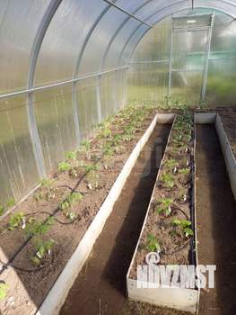 Дом 38м&sup2;, 1-этажный, участок 8 сот.  