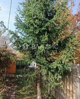 Дом 45м&sup2;, 2-этажный, участок 8 сот.  