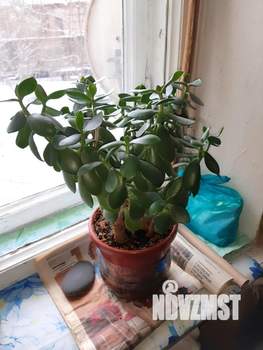 2-к квартира, на длительный срок, 48м2, 3/3 этаж