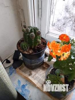 2-к квартира, на длительный срок, 48м2, 3/3 этаж