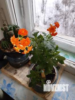 2-к квартира, вторичка, 48м2, 3/3 этаж