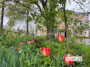 1-к квартира, вторичка, 31м2, 1/2 этаж